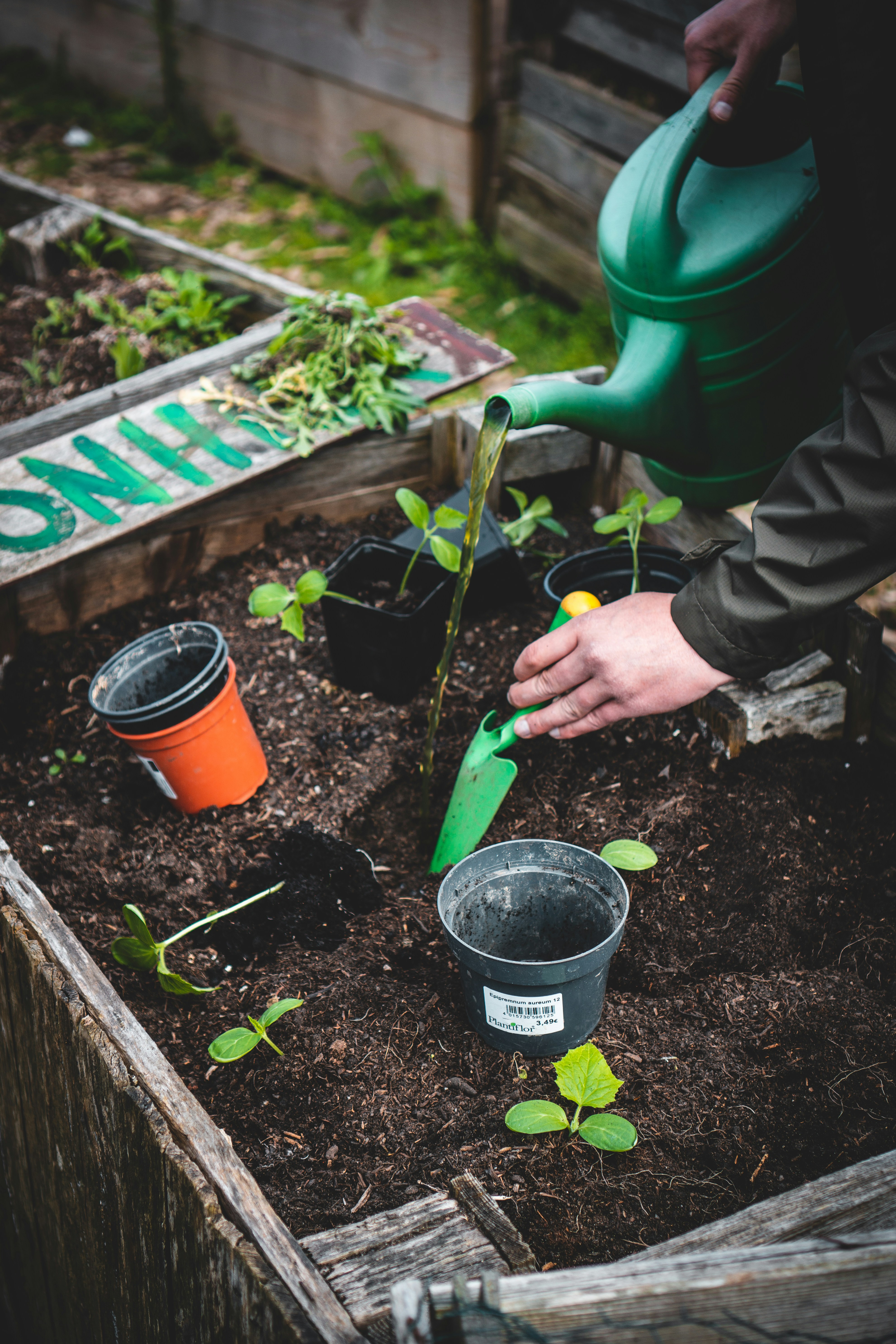 Professional Planting